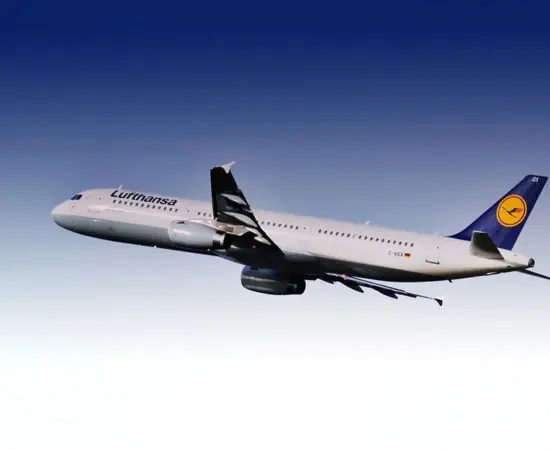 eDreams descuento familia numerosa