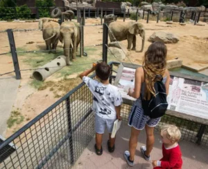 Zoo Barcelona Descuento Familia Numerosa